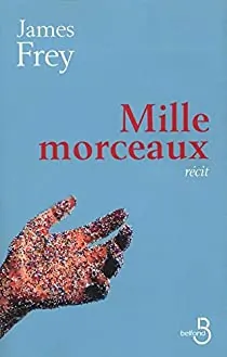 Livre été 2026 : Mille morceaux